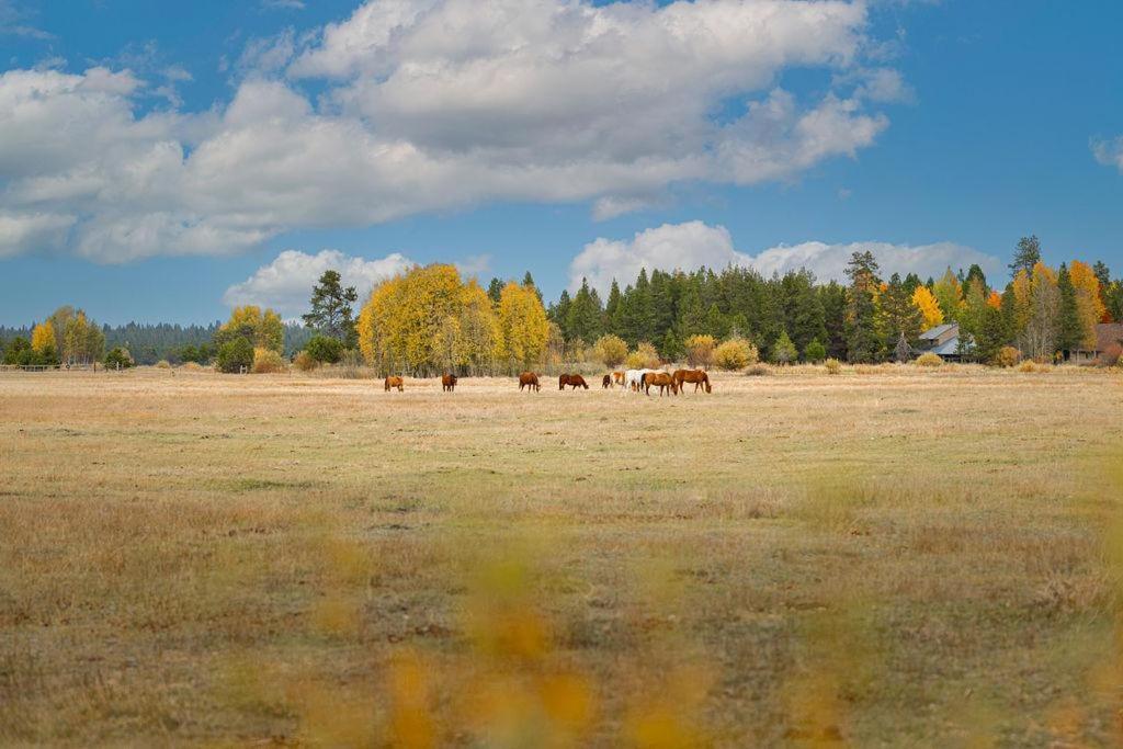 Villa Coyote - Unit 15 Sunriver Exterior foto